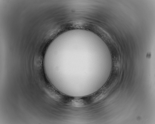 X0000102020603200808011426
