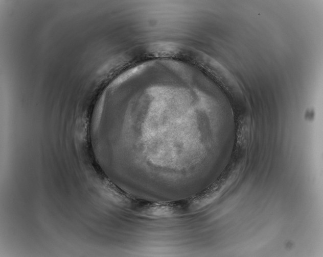X0000102020604200808011426