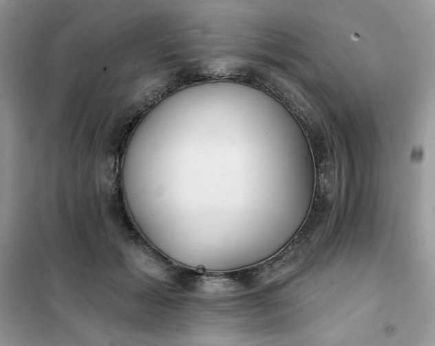 X0000102020605200808011426