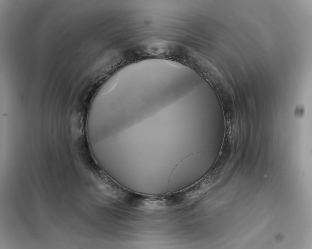 X0000102020606200808011426
