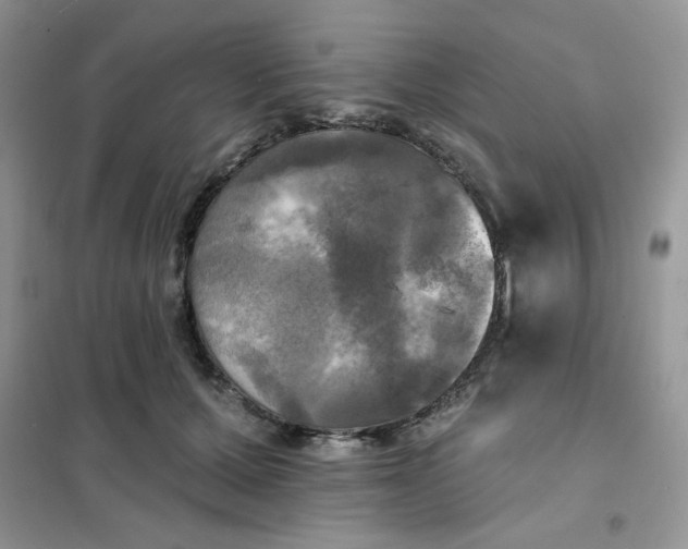 X0000102020607200808011426