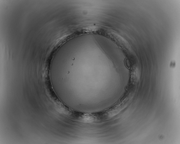 X0000102020608200808011425