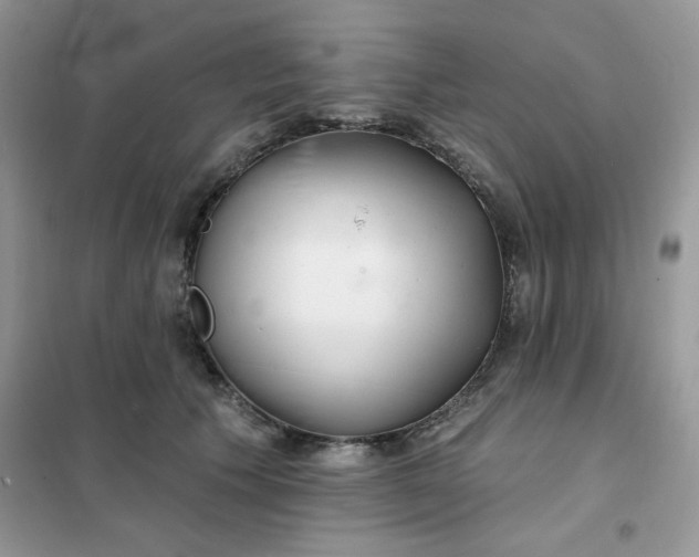 X0000102020609200808011425