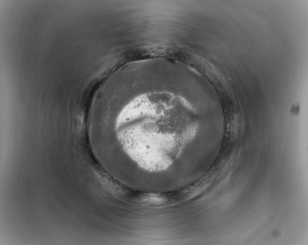 X0000102020610200808011425