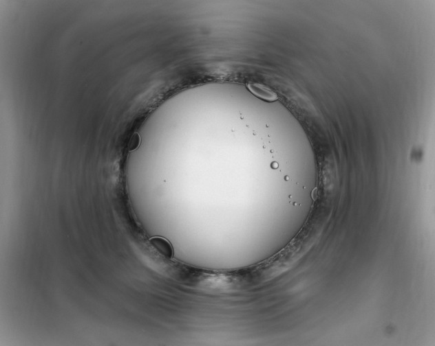 X0000102020611200808011425