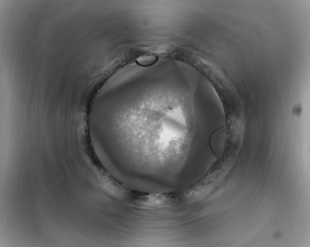 X0000102020612200808011425