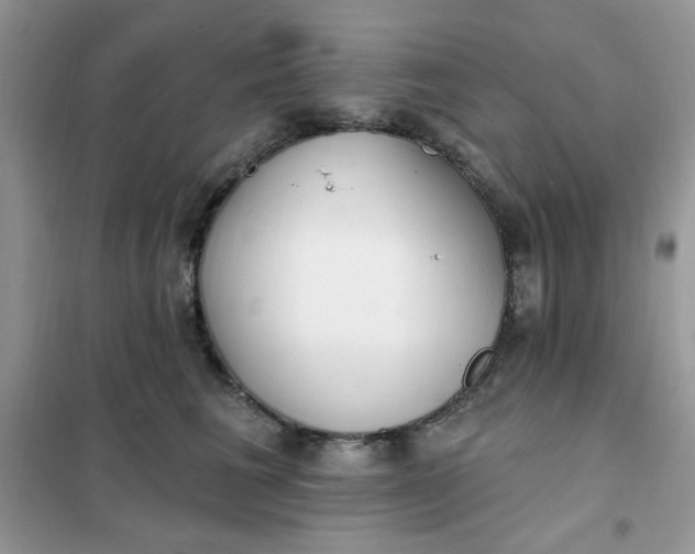 X0000102020613200808011425