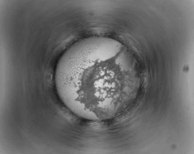 X0000102020615200808011425