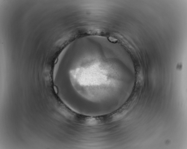 X0000102020616200808011425