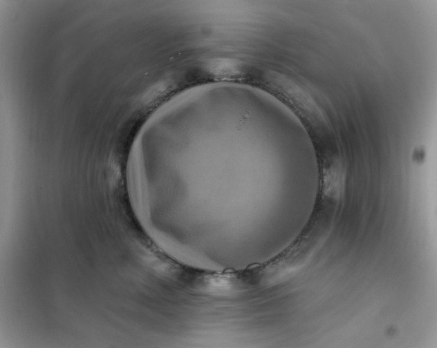 X0000102020618200808011425