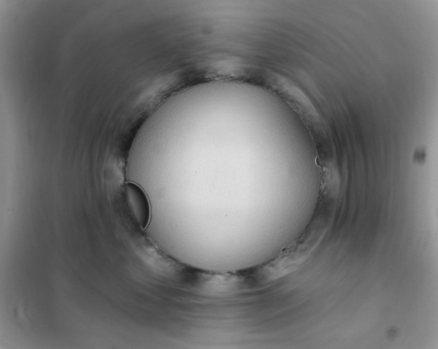 X0000102020621200808011425