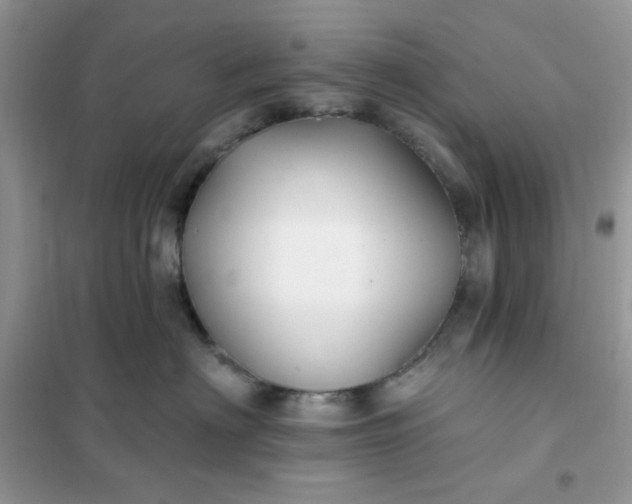X0000102020622200808011425