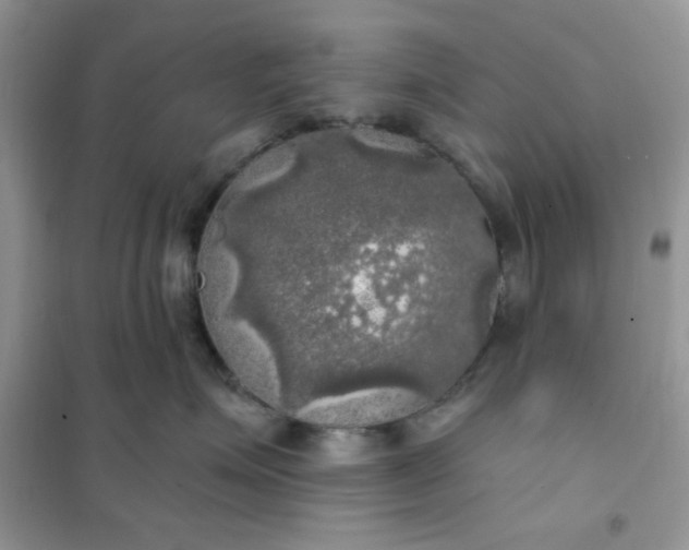 X0000102020623200808011425
