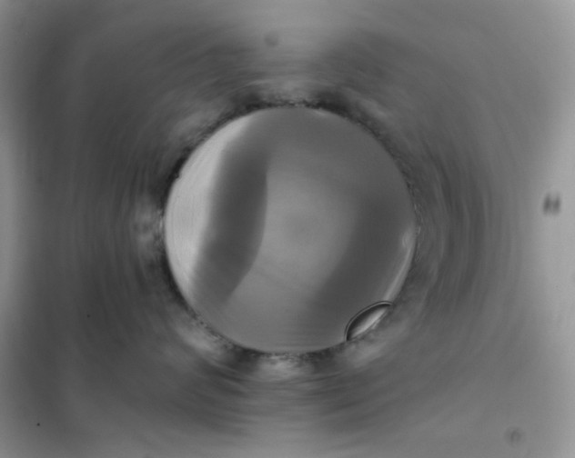 X0000102020624200808011425