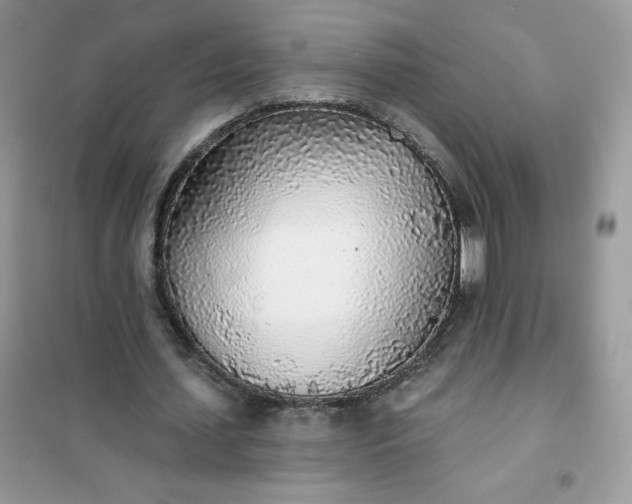 X0000102020627200808011425