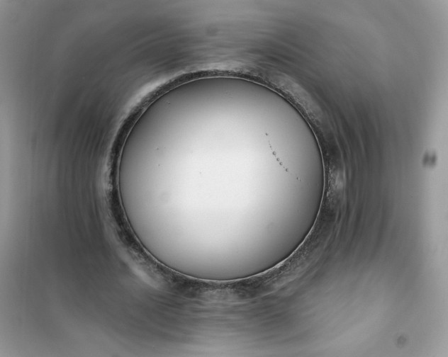 X0000102020628200808011425