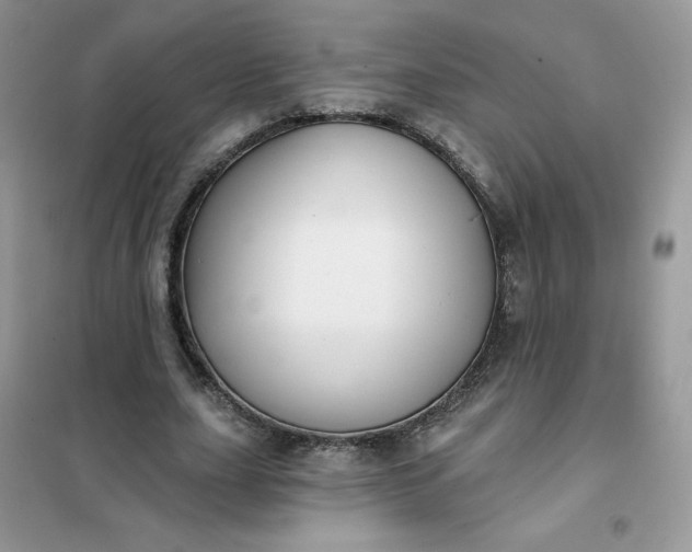 X0000102020631200808011425