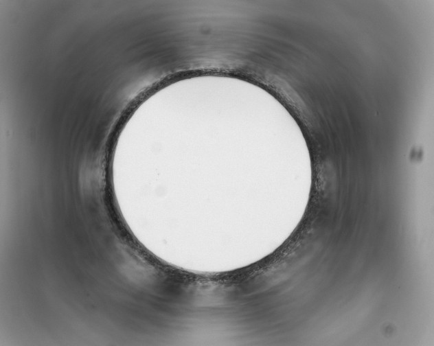 X0000102020632200808011425