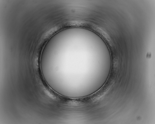 X0000102020633200808011425