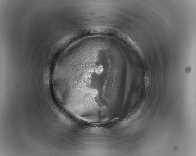 X0000102020637200808011425