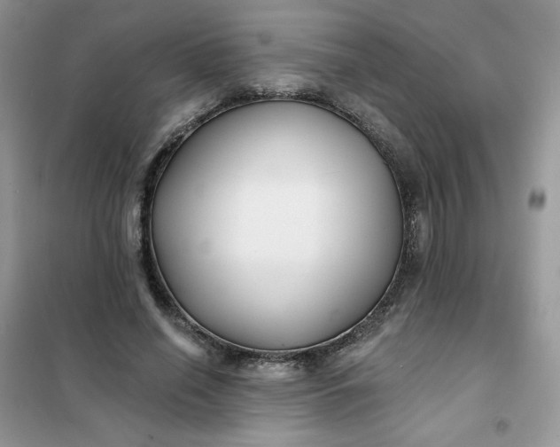X0000102020638200808011425