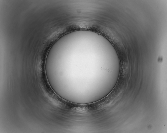X0000102020639200808011425