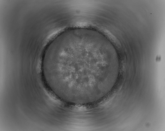 X0000102020640200808011425
