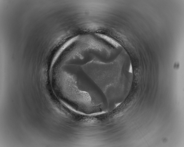 X0000102020642200808011425