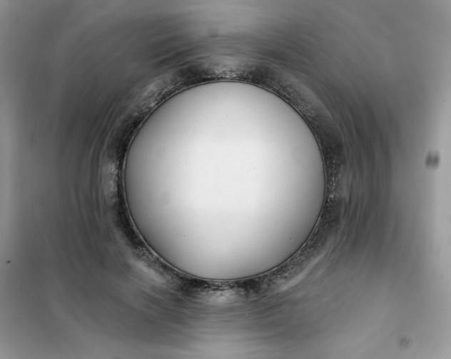 X0000102020646200808011425