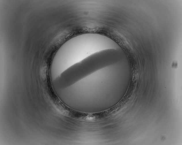 X0000102020647200808011425