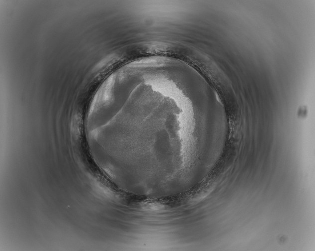 X0000102020648200808011425