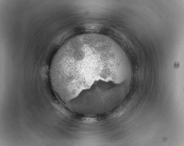 X0000102020649200808011425