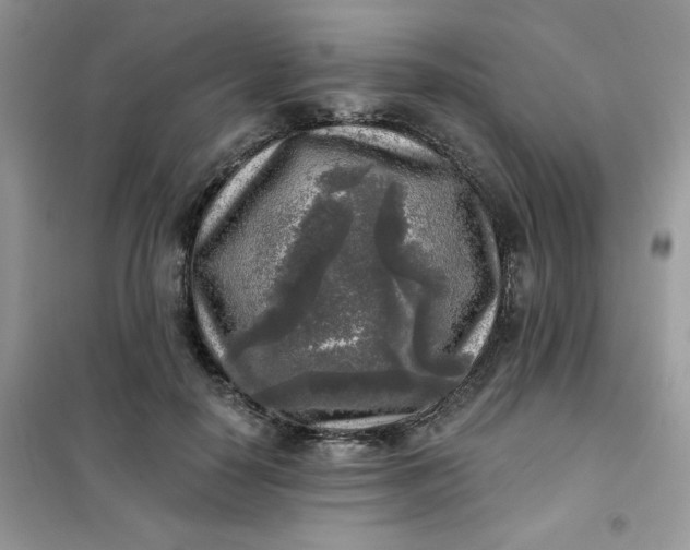 X0000102020650200808011425