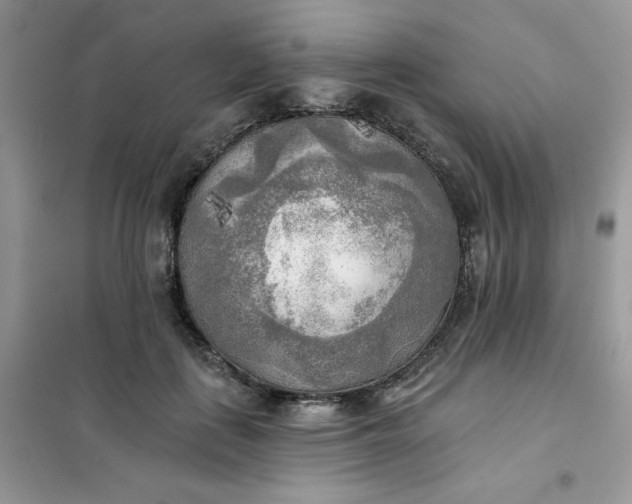X0000102020651200808011425