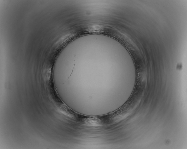 X0000102020652200808011425