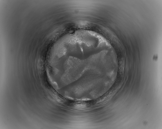 X0000102020653200808011425