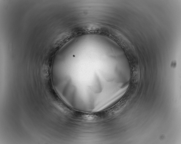 X0000102020654200808011425