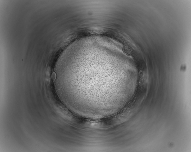X0000102020655200808011425