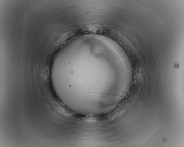 X0000102020656200808011425