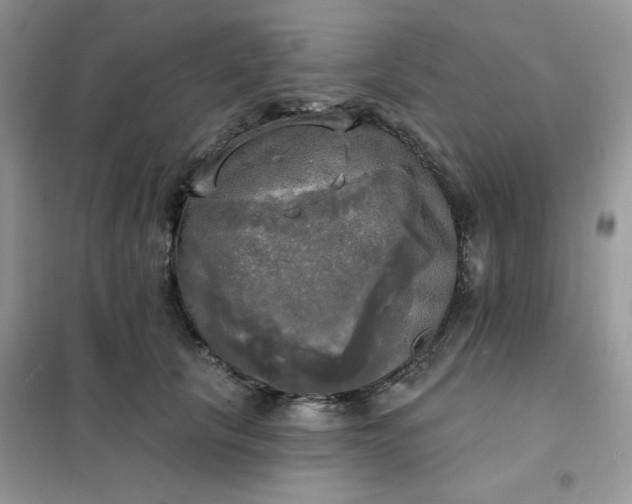 X0000102020657200808011425