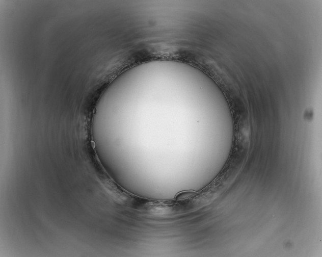 X0000102020658200808011425