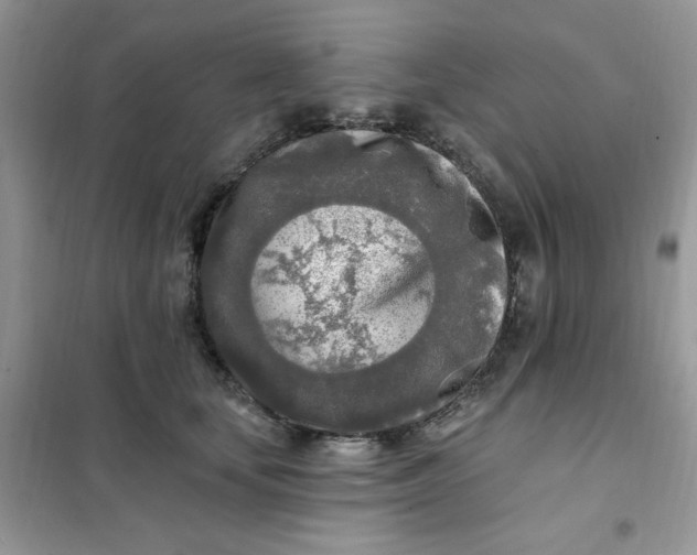 X0000102020659200808011425