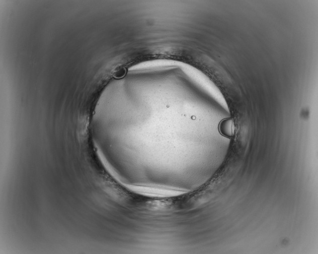 X0000102020660200808011425