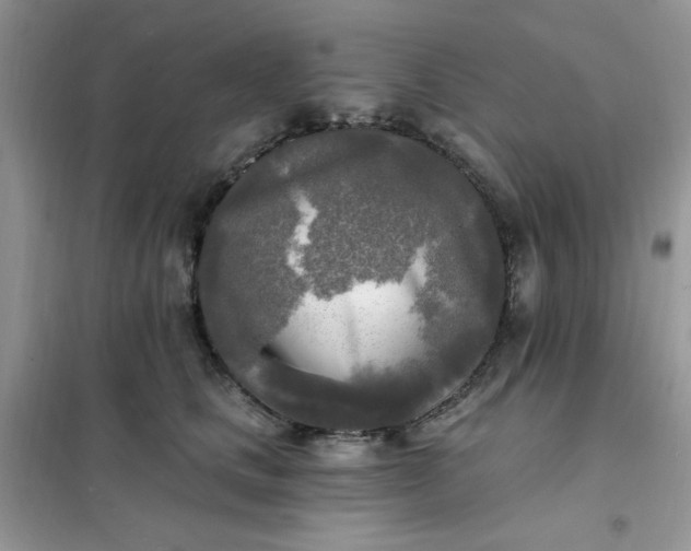 X0000102020661200808011425