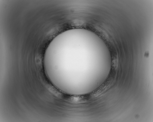 X0000102020662200808011425