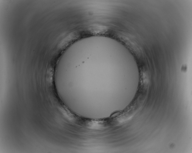X0000102020664200808011425