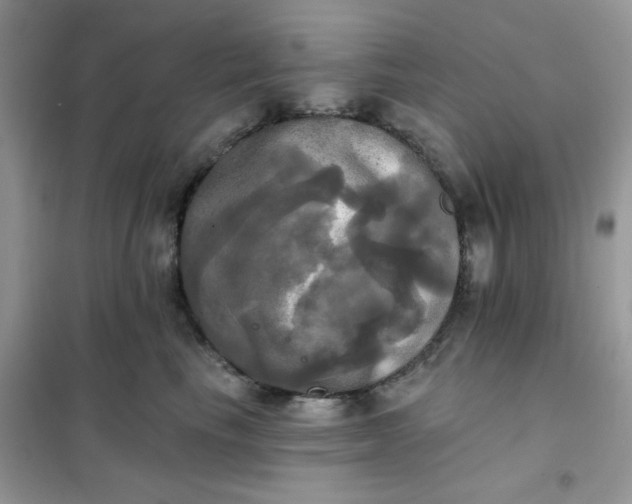 X0000102020665200808011425