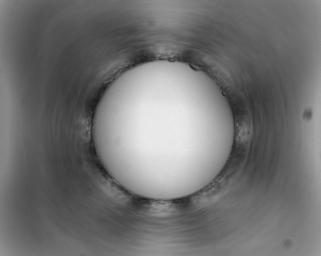 X0000102020666200808011425