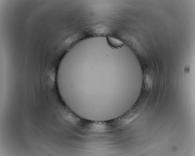 X0000102020668200808011425