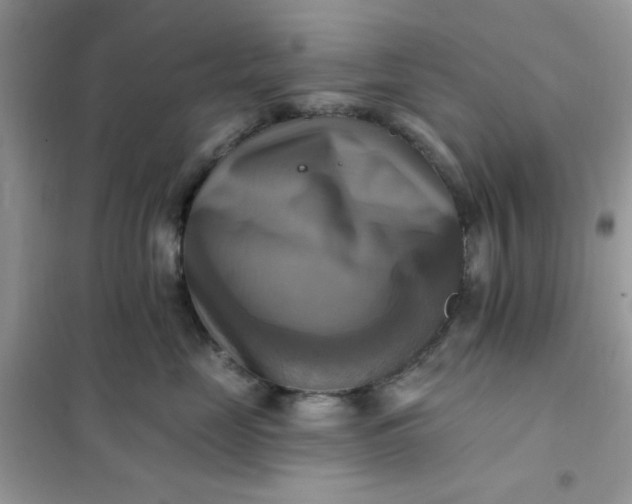 X0000102020669200808011425